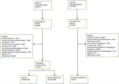 Factor analysis based on SHapley Additive exPlanations for sepsis-associated encephalopathy in ICU mortality prediction using XGBoost — a retrospective study based on two large database